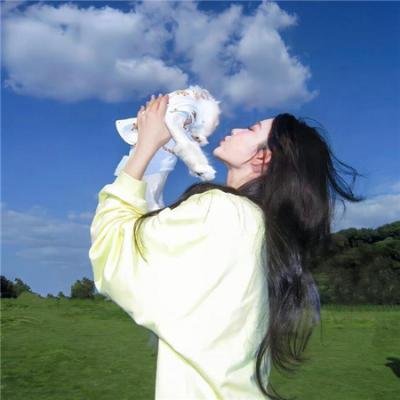 芝加哥警署第二季